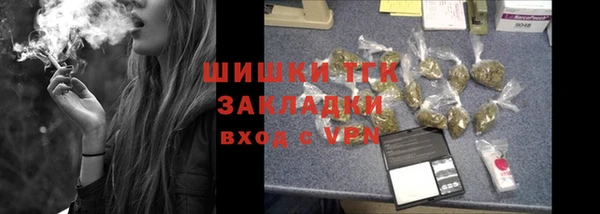 стаф Новозыбков