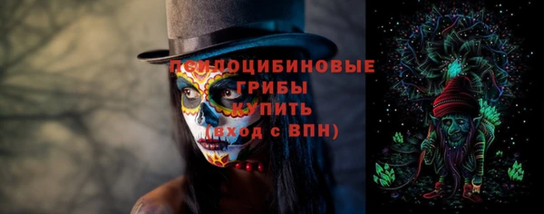 стаф Новозыбков