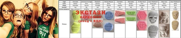 стаф Новозыбков