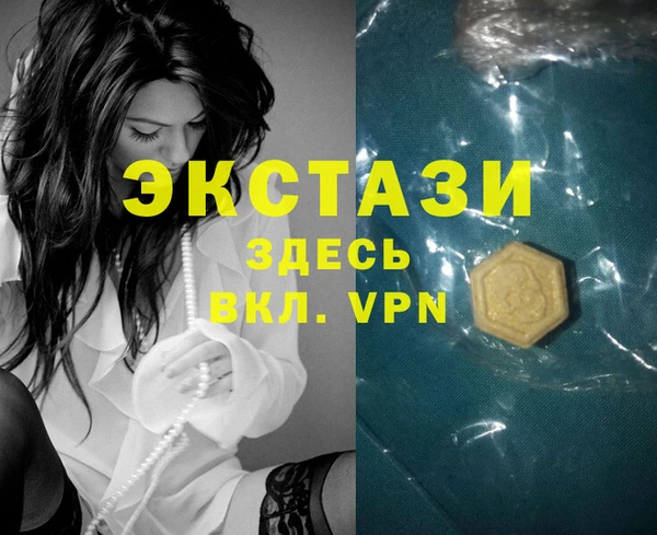 стаф Новозыбков